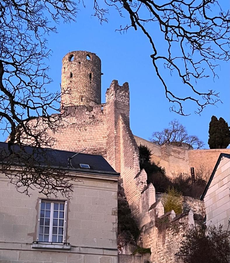Le Rabelais, Superbe Appartement En Duplex, Proche Forteresse Et Monument Historique Шинон Екстер'єр фото