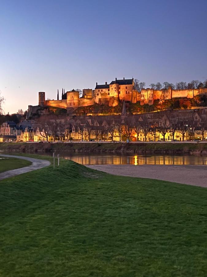 Le Rabelais, Superbe Appartement En Duplex, Proche Forteresse Et Monument Historique Шинон Екстер'єр фото